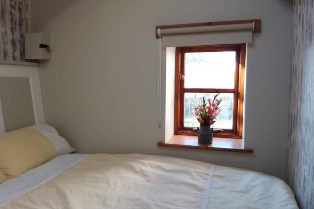 Farm Accommodation - The Lizard Peninsula, Cornwall Helston Zewnętrze zdjęcie