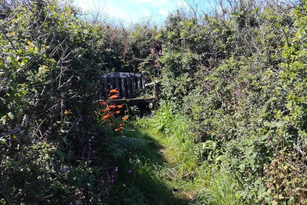Farm Accommodation - The Lizard Peninsula, Cornwall Helston Zewnętrze zdjęcie