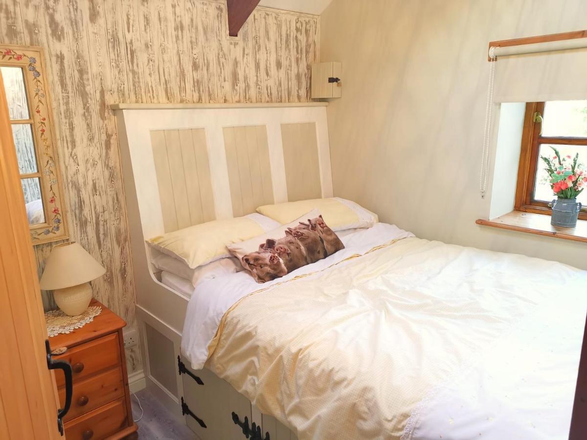 Farm Accommodation - The Lizard Peninsula, Cornwall Helston Zewnętrze zdjęcie