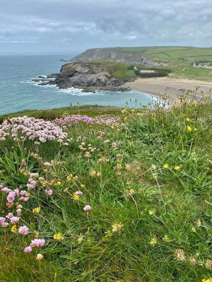 Farm Accommodation - The Lizard Peninsula, Cornwall Helston Zewnętrze zdjęcie