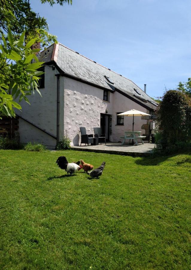 Farm Accommodation - The Lizard Peninsula, Cornwall Helston Zewnętrze zdjęcie