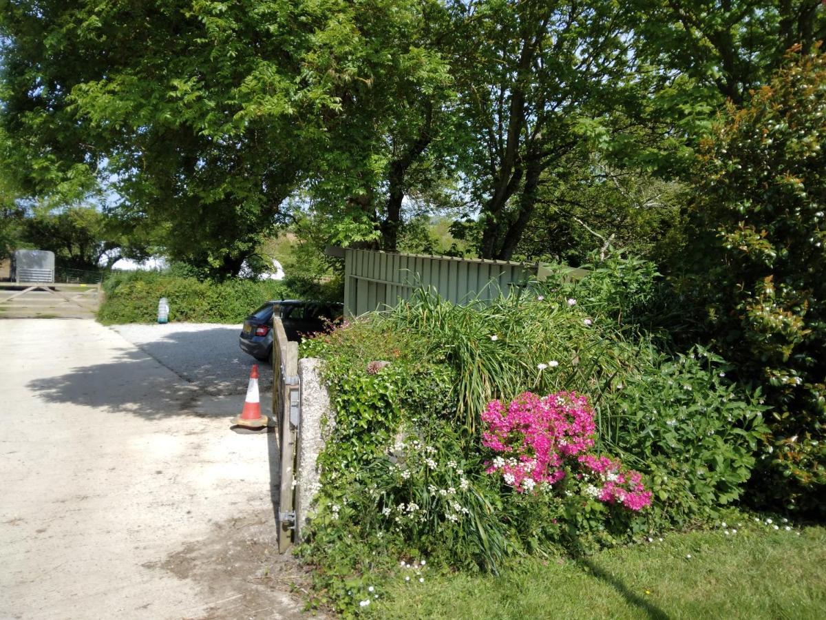 Farm Accommodation - The Lizard Peninsula, Cornwall Helston Zewnętrze zdjęcie